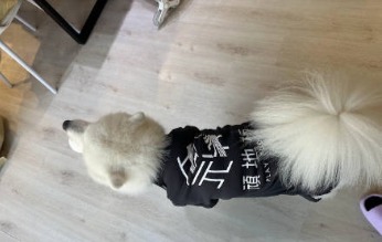 米粒設計網站設計合作案例